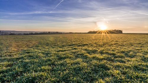 METEO Cod portocaliu de caniculă, duminică, în 11 judeţe / Capitala și alte 18 judeţe sunt sub Cod galben / Luni, judeţele Mehedinţi şi Dolj se vor afla sub Cod roşu de caniculă