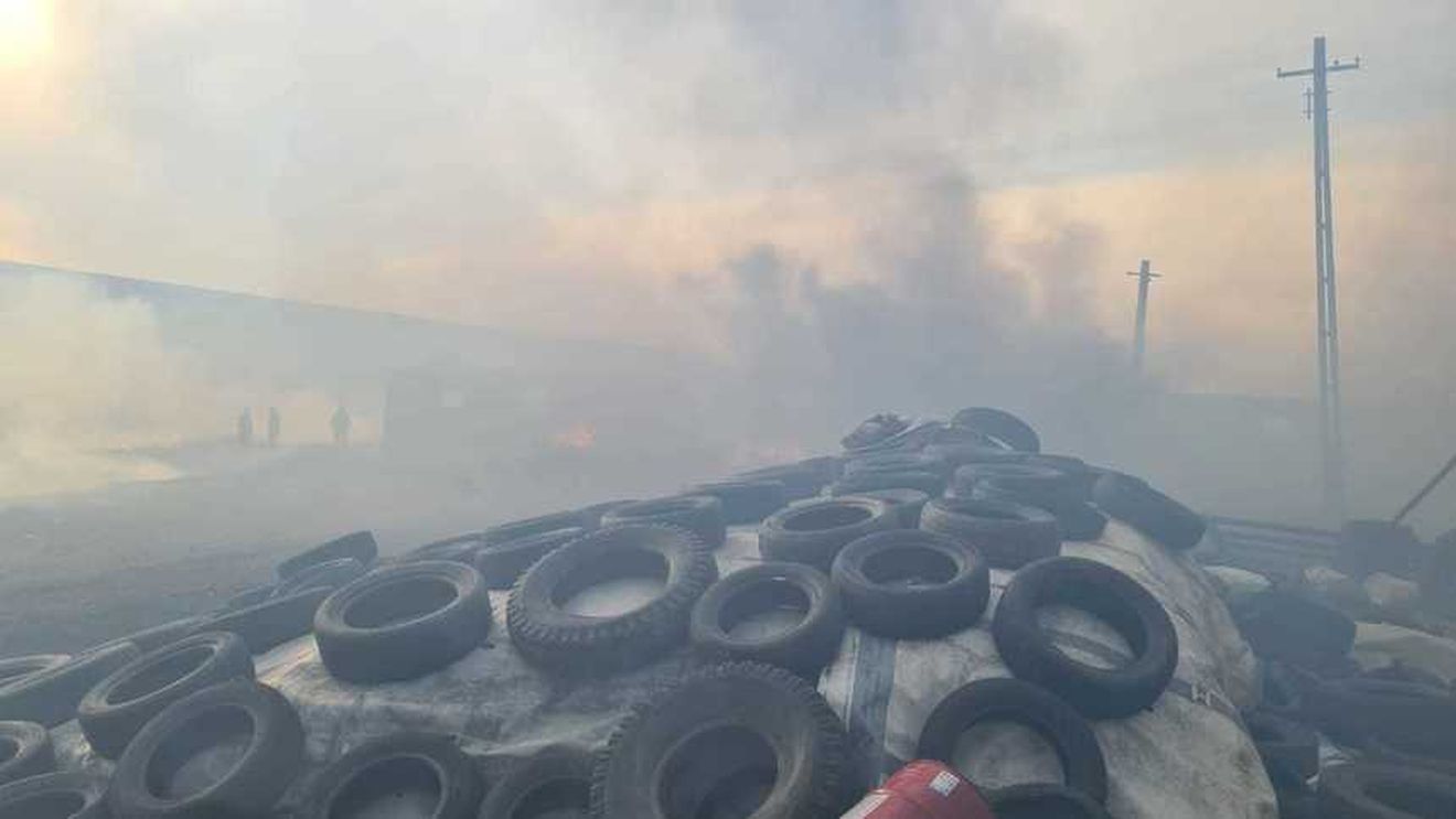 Botoșani: Mai multe animale au pierit într-un incendiu care s-a extins la adăpostul în care acestea se aflau. Incendiul a cuprins un depozit de furaje şi un siloz de cereale