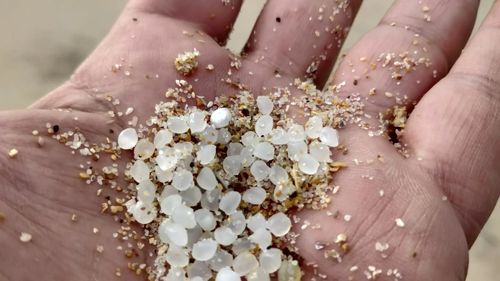 STUDIU Antarctica, ameninţată de microplasticele care provoacă degradarea mediului /  430 de milioane de tone de plastic sunt produse în fiecare an în întreaga lume