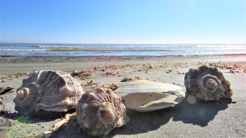 Oferte și prețuri pentru Crăciun sau Revelion pe litoral și în deltă / Tarifele pornesc de la circa 250 de euro și ajung până la 1.750 de euro pentru două persoane pentru un sejur de trei nopți cu toate facilitățile