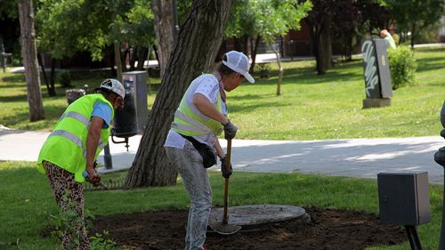 Protecţia Mediului cere tuturor primăriilor din Bucureşti o reglementare unitară privind spaţiile verzi / Deşi există prevederi clare în PUZ-urile coordonatoare, multe dintre acestea sunt anulate sau suspendate de instanţă