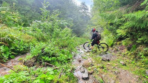 210 milioane de euro din PNRR pentru piste de biciclete pe trasee cicloturistice în vestul și nordul României