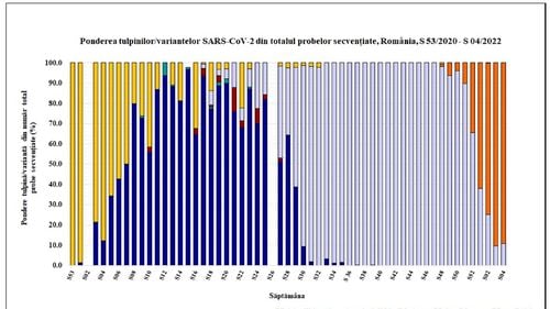 Subvarianta mai contagioasă a tulpinii Omicron, BA.2, a fost detectată în România / 13 cazuri confirmate de testele de laborator / UPDATE Ce spune Alexandru Rafila despre noua tulpină și de ce se fac secvențierile la pacienții din ATI