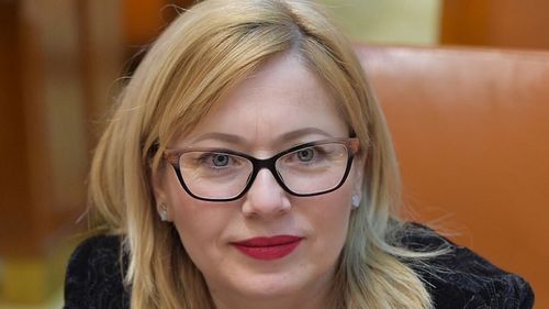 Darius Vîlcov, Liviu Pop și Doina Pană, reclamați la Consiliul pentru Combaterea Discriminării de deputata USR Cristina Iurișniți