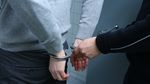 Cinci persoane, reţinute de DIICOT sub acuzaţia că ar fi introdus în ţară, prin firme de curierat, canabis şi ciuperci halucinogene