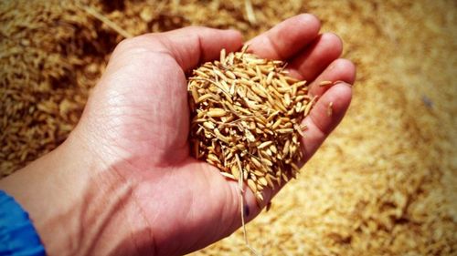Fermierii au solicitat Ministerului Agriculturii stabilitate şi au suspendat pentru 30 de zile protestele / ”Fermieri de cultură mare sunt în pragul falimentului”