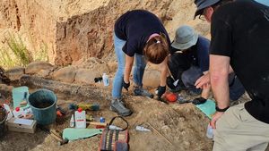 Arheologii au descoperit în Israel un colţ fosilizat ce a aparținut unei specii dispărute de elefant gigantic