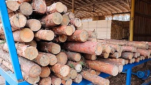 SUA crește tarifele pentru cheresteaua și mobilierul din import / Canada, Mexic și Vietnam, cele mai afectate