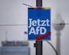 Partidul de extremă dreapta AfD își păstrează poziția de lider în Germania, în timp ce formațiunile aflate la guvernare pierd din susținere