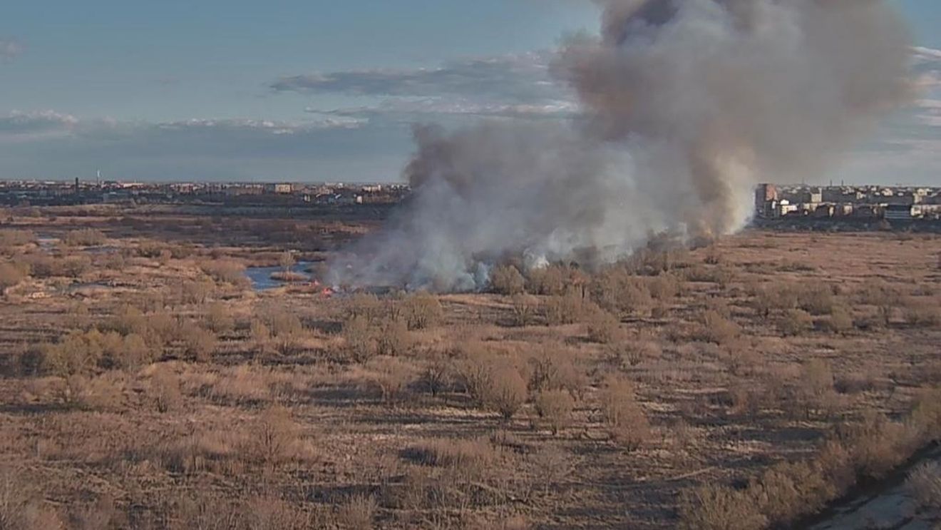 VIDEO FOTOGALERIE Incendiu în Delta Văcărești pe circa 2 hectare de vegetație