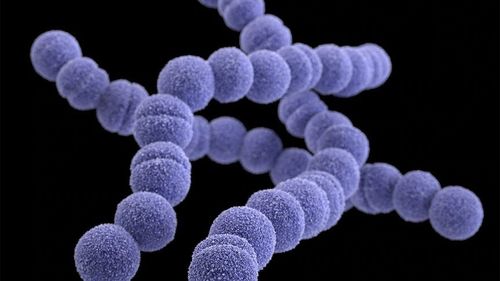 Şase copii au murit în Marea Britanie din cauza infecţiei cu streptococul A, care provoacă scarlatina