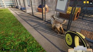 VIDEO: În simulatorul Animal Shelter administrezi un adăpost pentru animale / Cât costă versiunea pentru Windows?