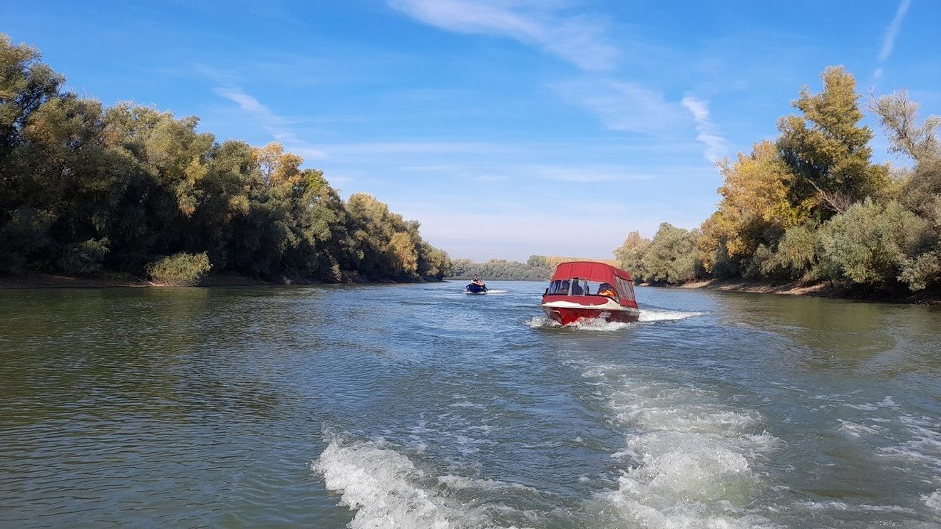 Excursii cu barca în Parcul Natural Balta Mică a Brăilei, organizate sâmbătă și duminică de Romsilva. Tariful pornește de la 60 lei/ persoană