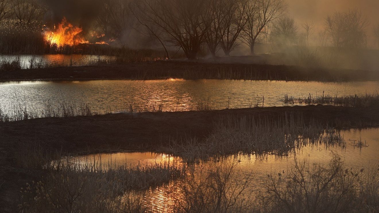 Circulaţia feroviară, oprită pe două tronsoane din judeţul Teleorman, din cauza unui incendiu de vegetaţie în zona staţiei Roşiori Nord/ Patru trenuri, oprite în gări pe durata intervenţiei pompierilor