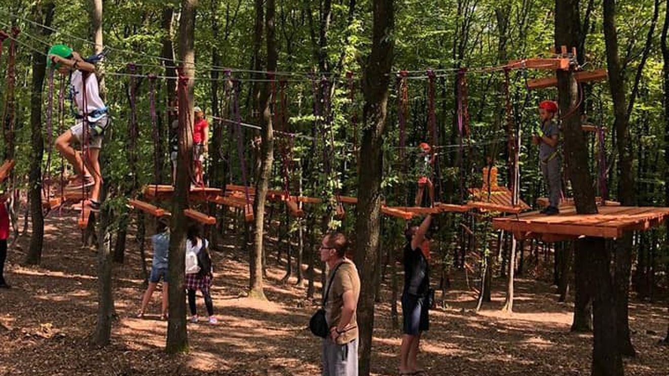 Trasee de biking în zona pârtiei Cocoș/ A fost redeschis parcul de aventură din vârful pârtiei