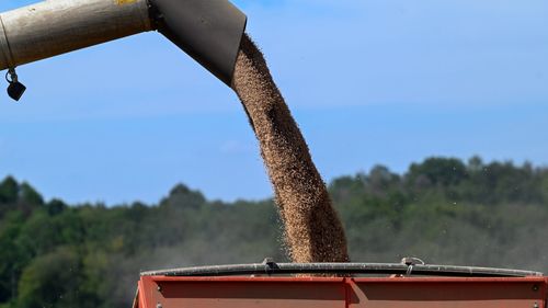 Cioloș, despre un nou efect al cerelelor din Ucraina: Fermierii îmi spun că deja au probleme cu transportul / Fie nu mai sunt deloc disponibile camioane pentru că sunt multe contractate deja pe linia Ucraina, fie a crescut mult prețul