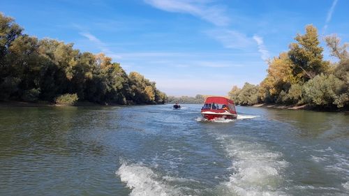 Excursii cu barca în Parcul Natural Balta Mică a Brăilei, organizate sâmbătă și duminică de Romsilva. Tariful pornește de la 60 lei/ persoană