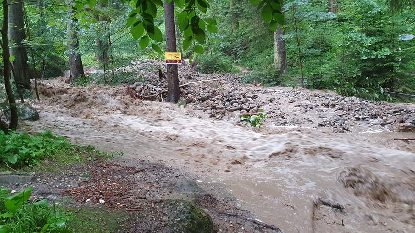 VIDEO Inundații în județul Neamț, unde un drum județean a fost înghițit de aluviuni, iar mai multe case au fost luate de ape