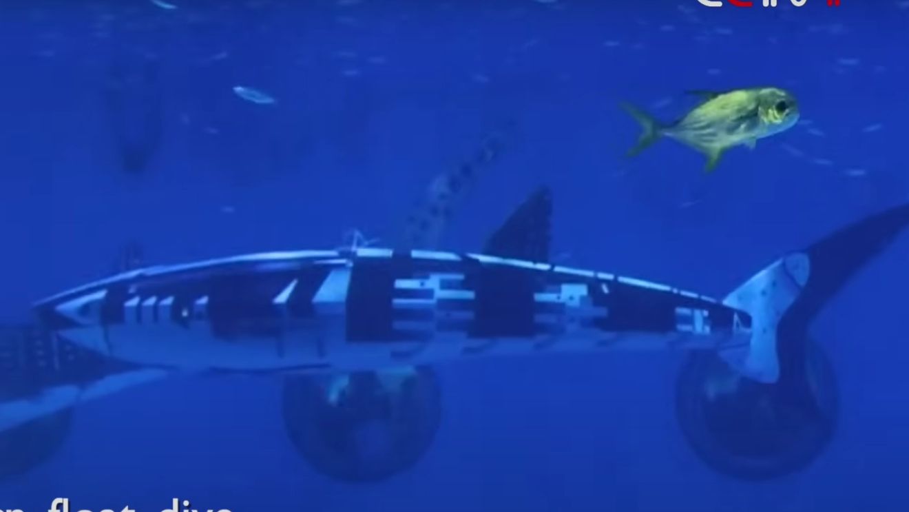 China a creat primul robot inteligent ”rechin-balenă” din lume / Pas uriaș în studiul vieții marine, dar și potențial element de apărare