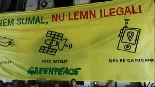 Protest în Capitală împotriva furturilor de lemn. Circa 4.000 de bucureșteni s-au adunat la Universitate și apoi au mers la Ministerul Apelor și Pădurilor