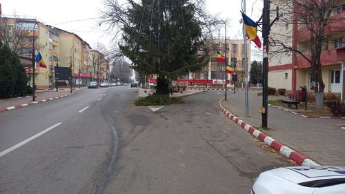 Poliția Panciu, după sesizarea G4Media privind bradul imens din mijocul străzii: Am pus în vedere Primăriei să toaleteze bradul. A fost aplicată și o sancțiune contravențională, firmei care a amplasat bradul
