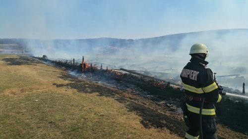VIDEO 400 de oi moarte după un incendiu de vegetație produs în Alba. Pompierii fac apel la oameni să nu mai provoace incendii