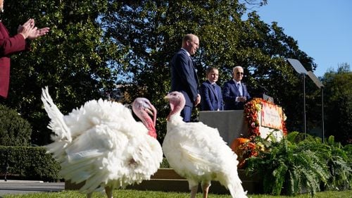 Joe Biden a graţiat curcanii Peach şi Blossom în ultima ceremonie de Ziua Recunoştinţei din mandatul său