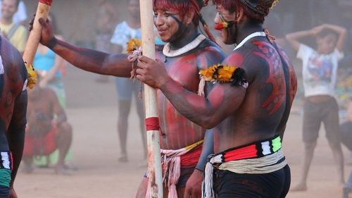 Indigenii amazonieni folosesc o fiertură din coaja unei liane pentru a se vindeca de Covid-19