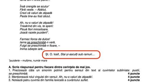 Greșeală în subiectele de la română: O poezie a lui Heinrich Heine a fost atribuită lui Șt. O. Iosif / “Malpraxis pedagogic în întocmirea subiectelor de examen” – HotNews.ro