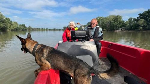 O echipă olandeză cu câini dresați pentru căutare cadavre pe apă caută fetița dispărută în tragedia de pe Mureș / O barcă cu 12 oameni s-a răsturnat la finalul lunii aprilie, 4 oameni, între care doi copii, și-au pierdut viața