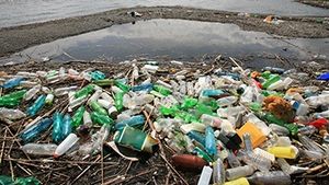 STUDIU Microplasticele perturbă sistemul digestiv al păsărilor marine și le distrug microflora intestinală / Cu cât pasărea înghite mai multe microparticule de plastic, cu atât numărul bacteriilor gastrice benefice se diminuează