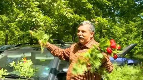 Parlamentarii vor ca ONG-urile să nu mai poată administra ariile protejate. Activist de mediu: "miza din spatele lor e tăierea pădurilor și dezvoltările imobiliare"