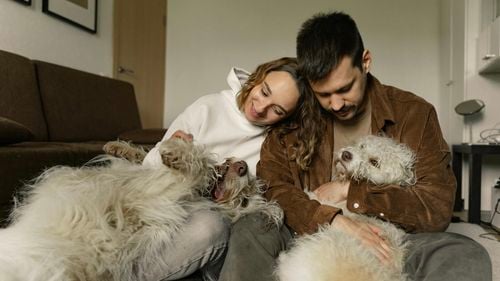 Unul din trei proprietari de animale de companie crede că Mercur retrograd influențează modul în care se comportă animalele lor de companie / Cum poate fi depășit acest moment