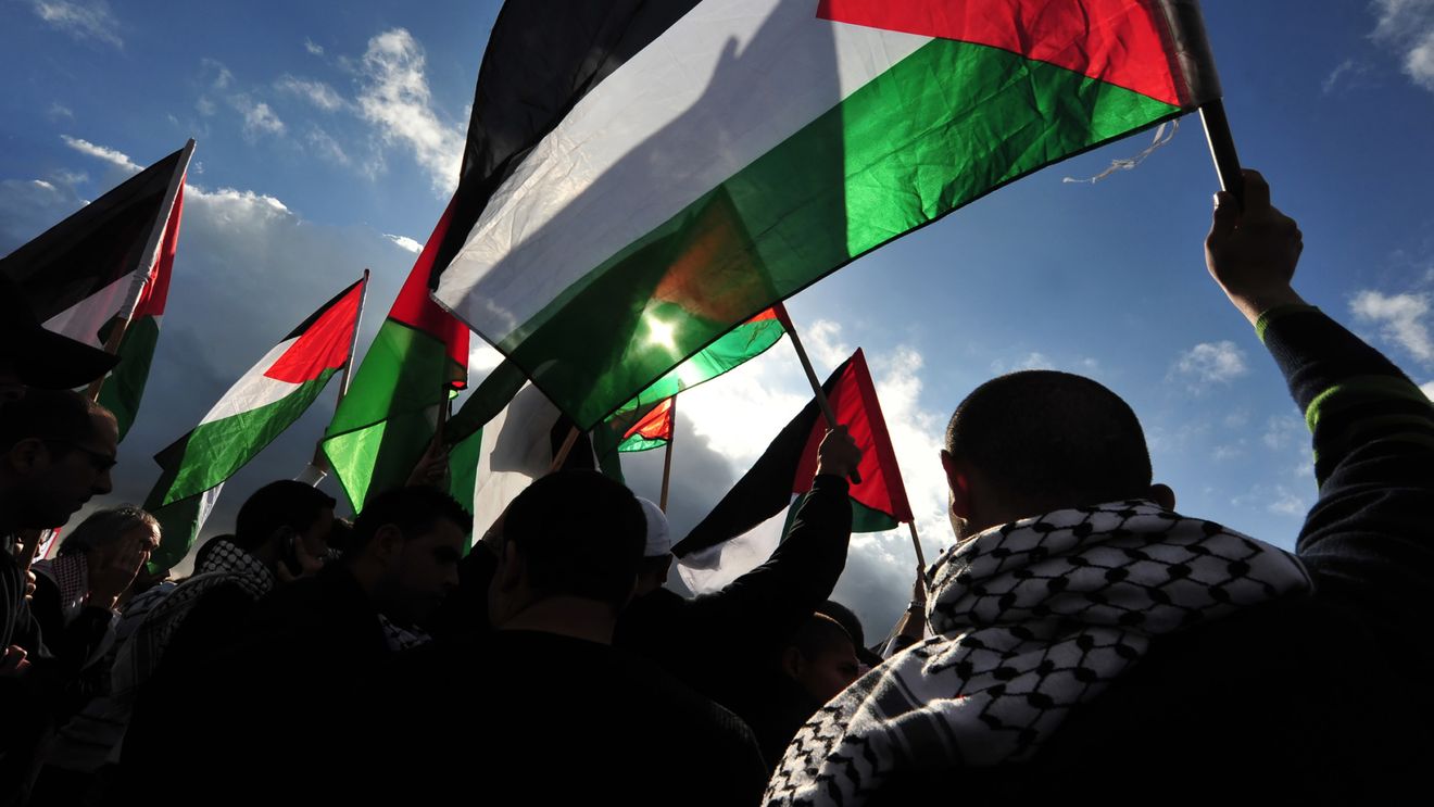 Institutul ”Elie Wiesel” acuză dezinformări în social media privind protestele pro-Palestina: ”Institutul nu are acorduri de niciun fel cu Jandarmeria, nu este structură a MAI / Un dialog între Institut, Parchet, Poliție, Jandarmerie ar fi putut opri escaladarea manifestărilor extremiste, negaționiste sau antisemite”