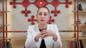 Președinta Claudia Sheinbaum acuză SUA de amestec în treburile interne ale Mexicului / Statele Unite au cerut arestarea a zece mexicani, printre care se numără un guvernator, un primar și un senator în funcție