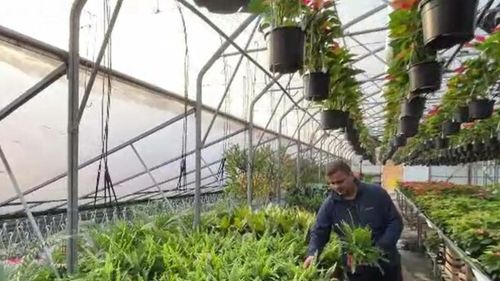 Fenomen neașteptat în mediul rural din România. Acest lucru era o raritate în anii '90. "Ne-am dezvoltat continuu"