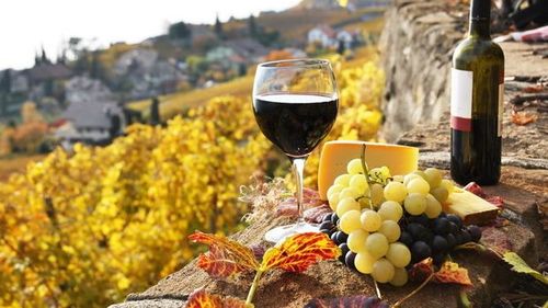 România, verde de la Comisia Europeană pentru ajutoare de stat acordate producătorilor de vin și companiilor aeriene care reiau operațiunile pe aeroportul din Sibiu