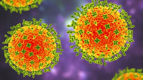 Langya, noul virus identificat în China, în vizorul Centrului European pentru Controlul Bolilor / Riscul de infectare pentru cetățenii UE este evaluat în prezent ca „foarte scăzut”