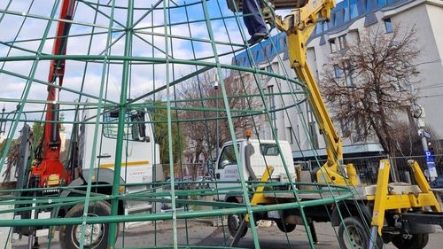 Brad tricotat manual în Târgu Mureș / O asociație vrea să doboare un record Guinness, la categoria "fular de festival"