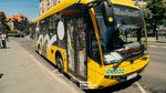 Noile autobuze electrice scurte, achiziționate de Primăria Timișoara din fonduri europene, intră în circulație de săptămâna viitoare