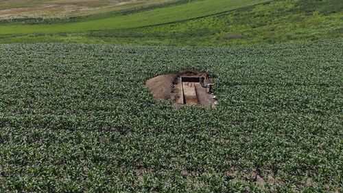 FOTO Istorie suprapusă într-un lan de porumb / Între civilizația Cucuteni și ororile celui de-al Doilea Război Mondial / Descoperiri  ale arheologilor ieșeni la Ursoaia 
