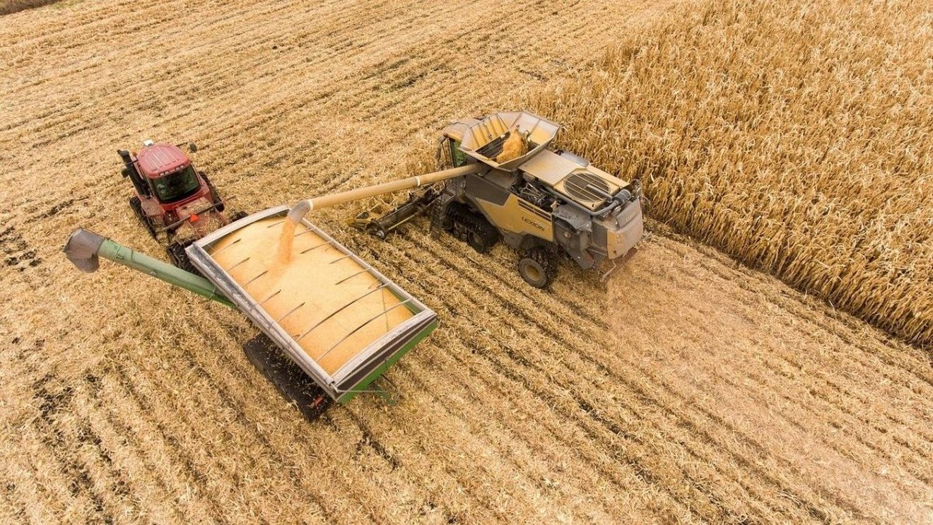 Analiză: Cum răspunde Europa la criza alimentară mondială