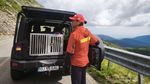 Un câine cu traumatisme grave a fost recuperat de salvamontişti din zona Vârfului Păpuşa / ”O misiune mai puţin obişnuită, plină de încărcătură psihică”