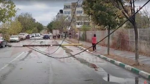 Zeci de copaci și trei stâlpi de electricitate doborâți de vijelie la Constanța / Mai multe autoturisme avariate