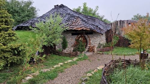 Tânăr reţinut în municipiul Roman după ce ar fi înşelat 185 de persoane cu anunţuri false de închiriere a unor imobile turistice