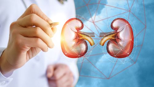 Cel mai bun ceai pentru rinichi. Plus: Alte obiceiuri recomandate care îți vor însănătoși acest organ esențial în filtrarea deșeurilor