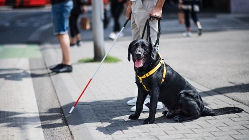 VIDEO Tehnologia, în sprijinul nevăzătorilor/ Cum se pot conecta nevăzătorii cu ghizi voluntari, pentru activitățile zilnice, printr-o aplicație
