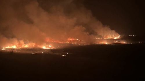 VIDEO Incendiu puternic de vegetație pe dealurile Prahovei/ Suprafața estimată, greu de estimat