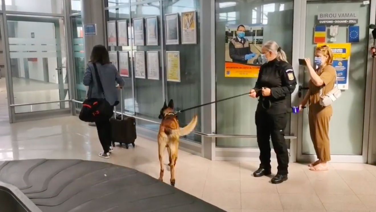 Proiectul privind depistarea persoanelor cu COVID cu ajutorul câinilor dresaţi se extinde la aeroportul din Cluj, anunță ministrul Bode