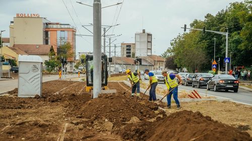 Primăria Timișoara plantează peste 300 de arbori pe un bulevard / Primar: ”Este un culoar modern de mobilitate accesibil pentru toată lumea”